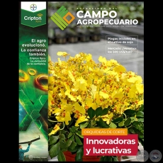 CAMPO AGROPECUARIO - AÑO 20 - NÚMERO 232 - OCTUBRE 2020 - REVISTA DIGITAL